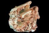 Natural, Red Quartz Crystal Cluster - Morocco #101004-1